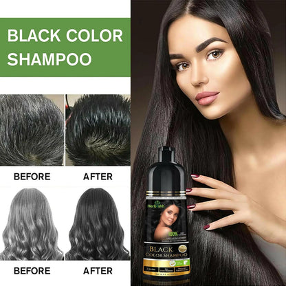 Black Hair Color Shampoo - Herbishh